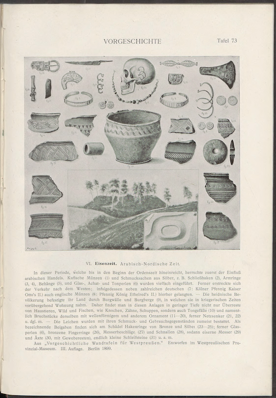 Tablica szkolna z zabytkami prehistoryznymi, w: H. Conwentz, Das Westpreussische Provinzial-Museum 1880-1905, Danzig 1905